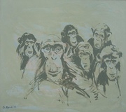 Six Chimpanzees