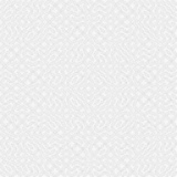 White morphogenetic field